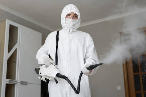 Why You Should Choose Our Mold Remediation Services in Manassas Park, VA